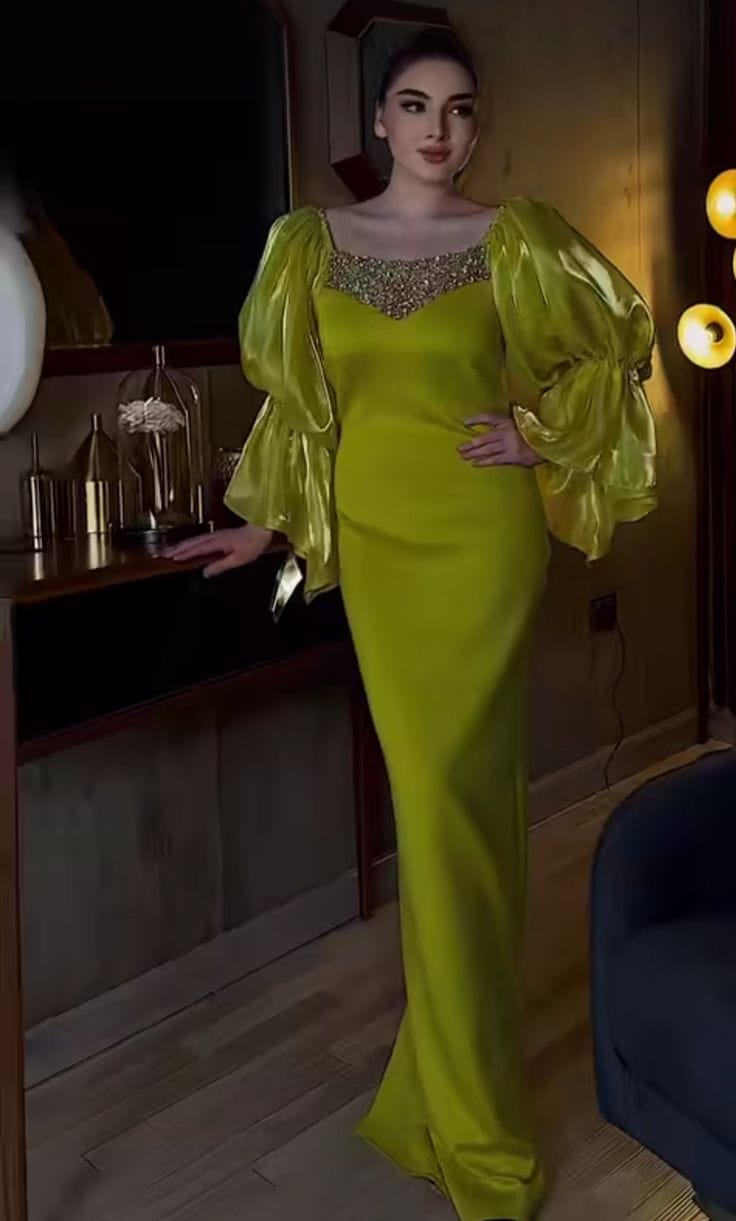 Hand Embroidered Dress with Puffy Salves