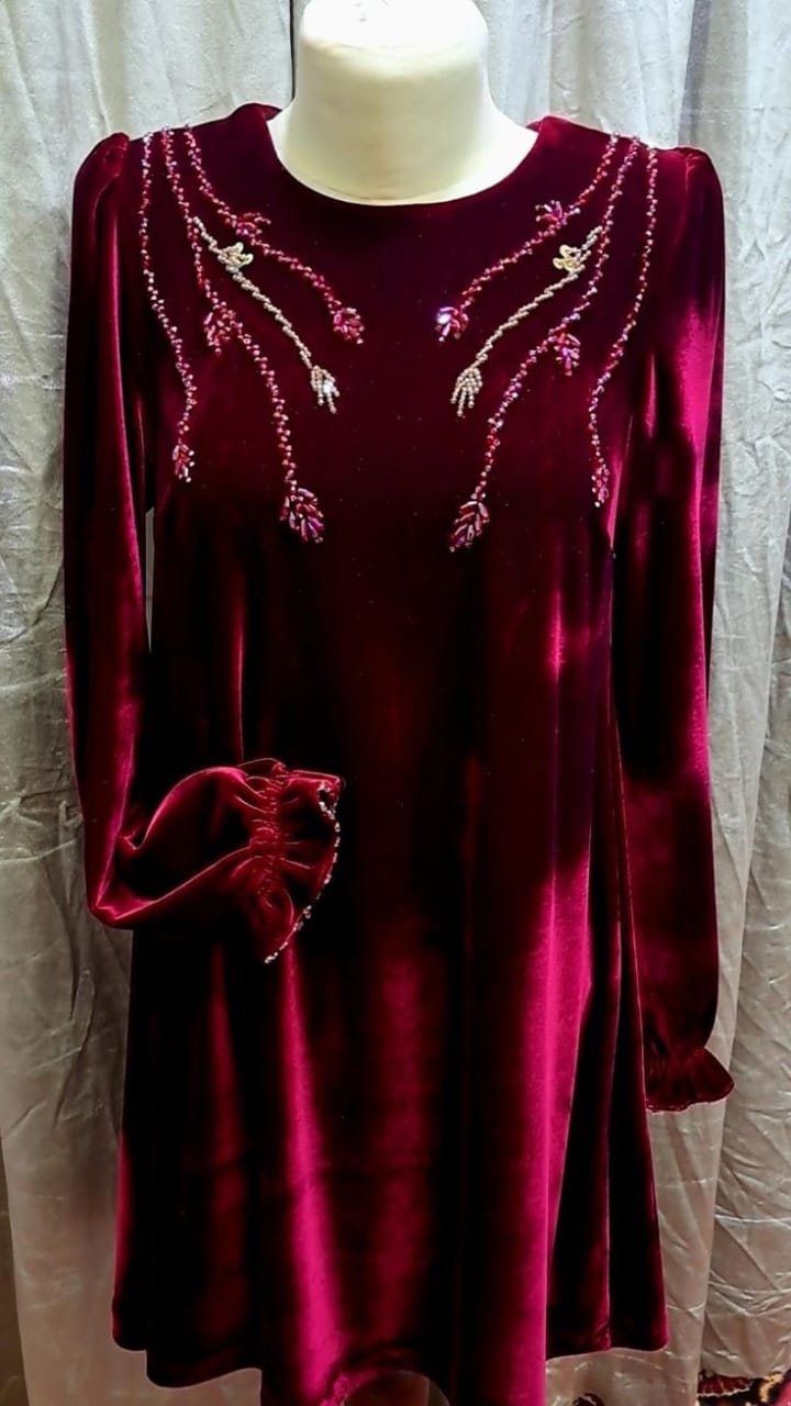 Velvet Dress With Hand Embellishment