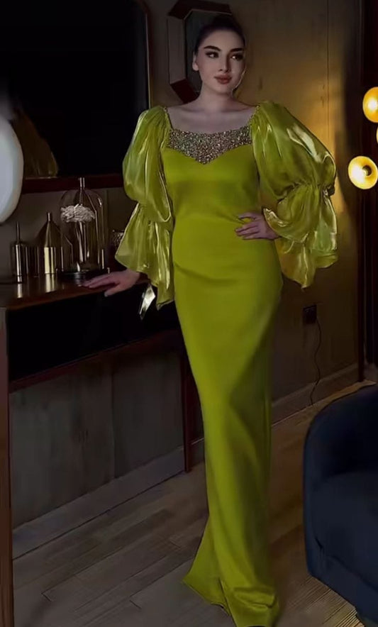 Hand Embroidered Dress with Puffy Salves