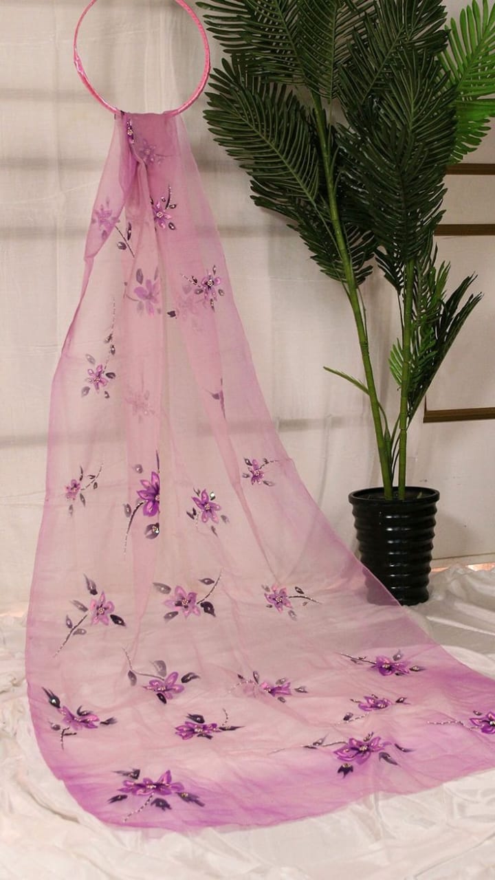 Hand Paint Organza Dupatta With Embellishment